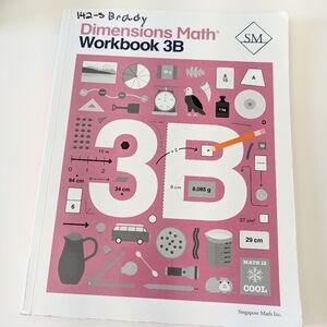 Singapore Dimensions Math Workbook 3B